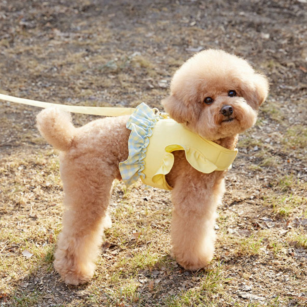 Dog Color Contrast Traction Ro - Lace Teddy Lingerie recension och pris